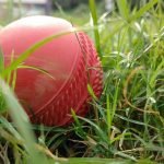 Gifts for cricket lovers