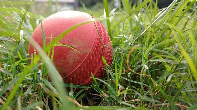 Cricket lover hamper - Ovenfresh